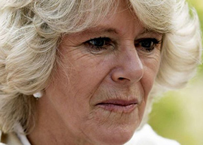 Book Claims Camilla Made A Racist Joke About Archie's Hair | InstantHub
